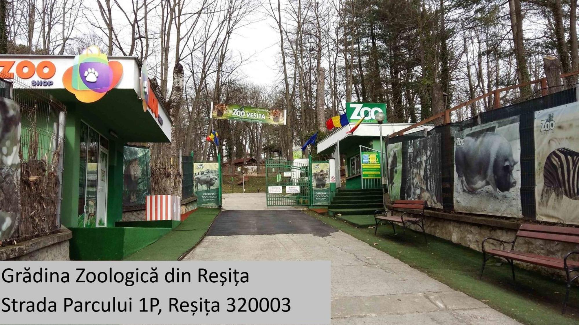 Apartament Casa Rusu -Victoria-Self Check In-24H Resita Zewnętrze zdjęcie